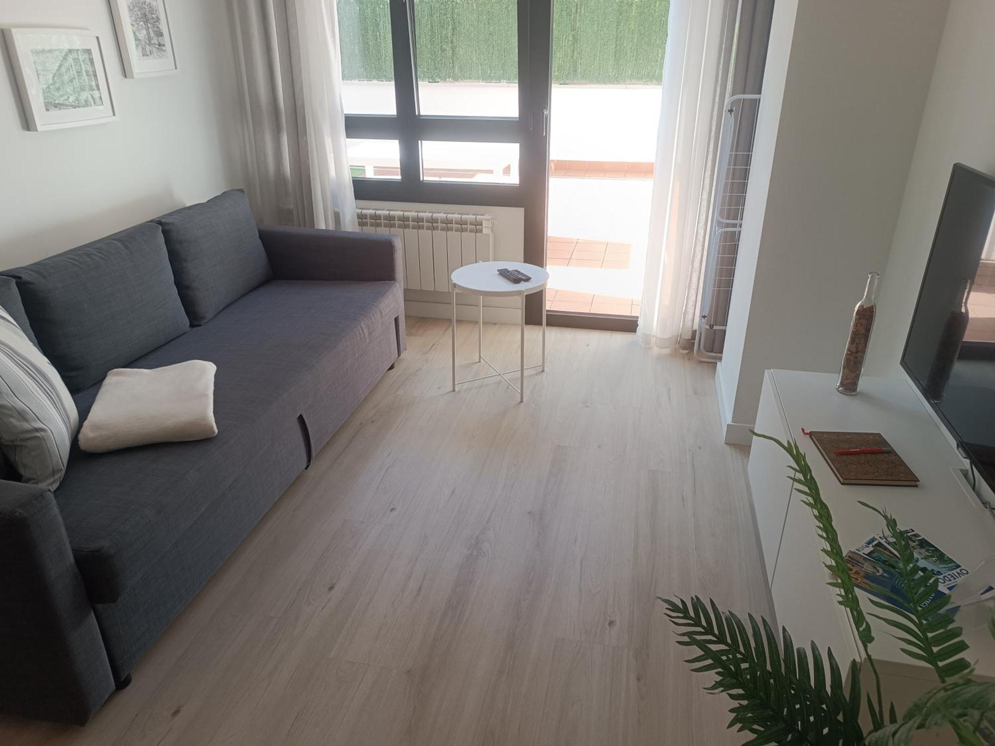 La Terraza De La Vega - Ubicacion Inmejorable , Wifi , Terraza Y Parking Gratuito Lejlighed Oviedo Eksteriør billede